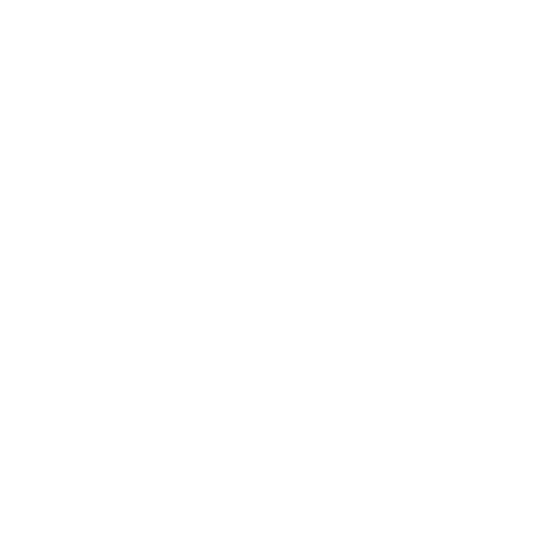 Main Phone